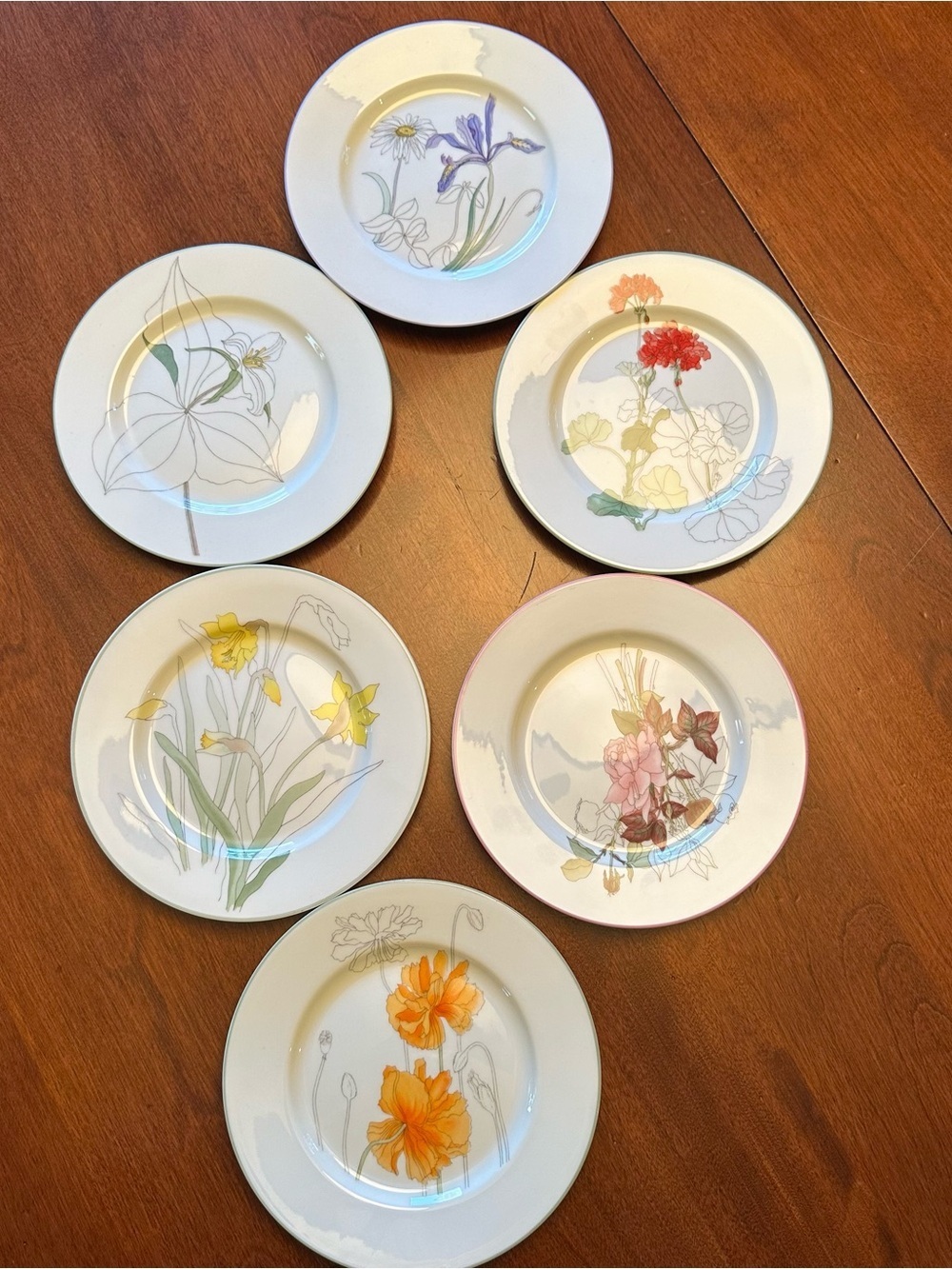 Set of 6 Watercolors Block Spal Geranium Poppy Rose + Bread/Dessert Plates 6.25"